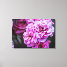 Impressão em tela Rosas Rosa Suave