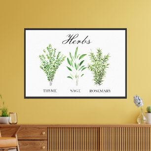 Impressão Em Tela Rosemary Thyme Sage Herbs Culinária Cozinha