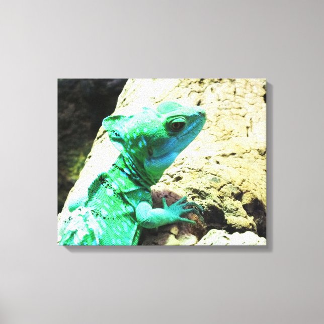 Impressão Em Tela Rótulo de lagarto basilisco verde (Frente)