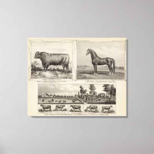 Impressão Em Tela Royal Champion, Joe Young, Kansas (Frente)