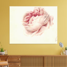 Roze Roos (1792) – Arte Botânica Antiga Atemporal