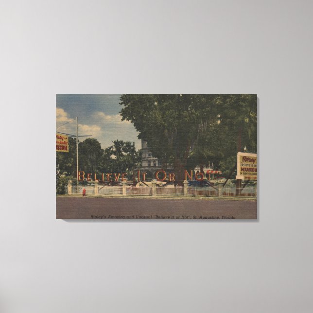 Impressão Em Tela Rua. Augustine, FL - Acredita ou não de Ripley (Frente)