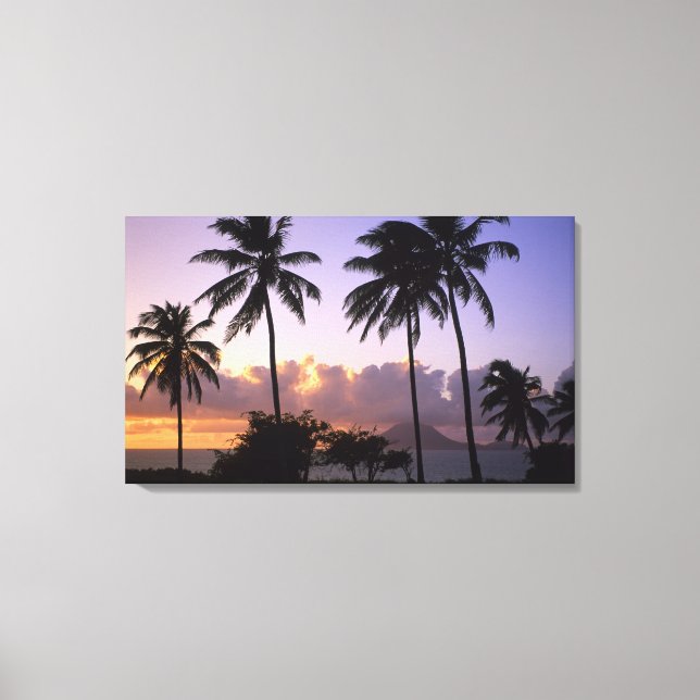 Impressão Em Tela Rua costeira. Gatinhos (Frente)