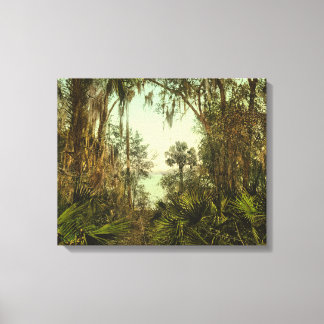 Impressão Em Tela Rua. Johns River Florida 1898 Foto