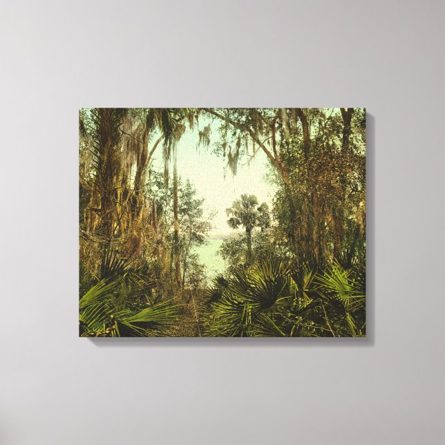 Impressão Em Tela Rua. Johns River Florida 1898 Foto (Frente)