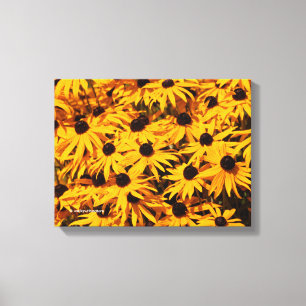 Impressão Em Tela Rudbeckia Fulgida / Laranja Coneflower