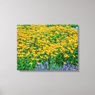 Impressão Em Tela Rudbeckia Hirta e Lavanda