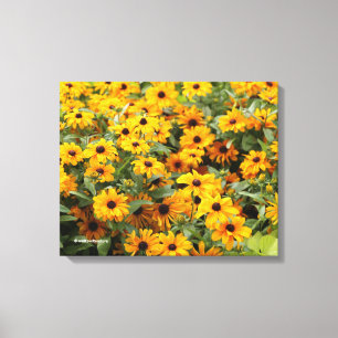 Impressão Em Tela Rudbeckias / Cama de Susanos de Olhos Negros