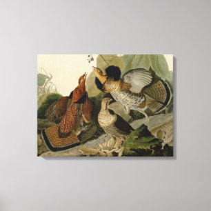 Impressão Em Tela Ruffed Grouse de John Audubon