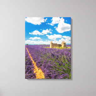 Impressão Em Tela Ruína em Campo de Lavanda, França