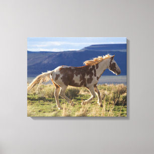 Impressão Em Tela Running Stallion, Steens Mountain, Oregon