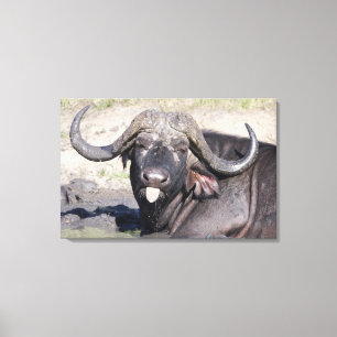 Impressão Em Tela Sabi lixa a tutela, província de Mpumalanga,