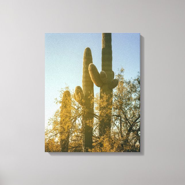 Impressão Em Tela Saguaro Cactos (Frente)