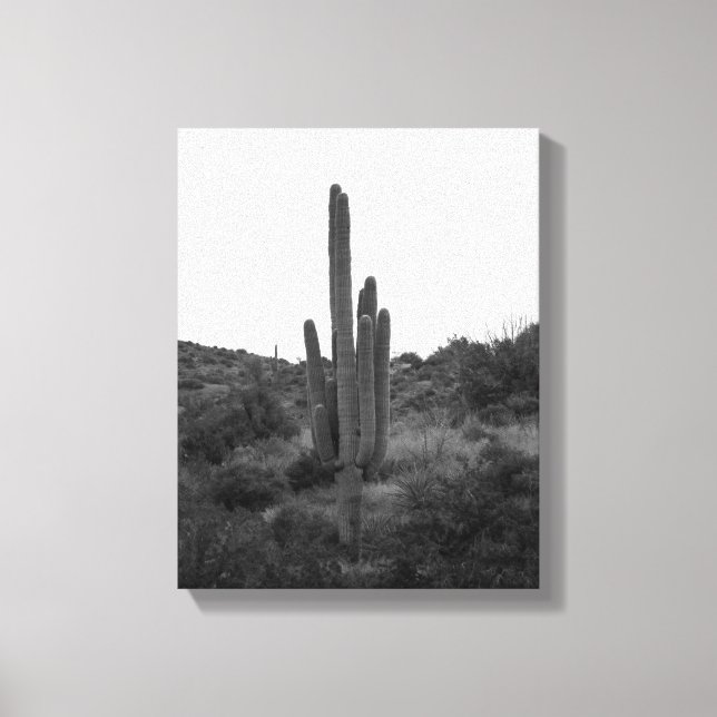 Impressão Em Tela Saguaro Cactus Preto e Branco 11x14 (Frente)