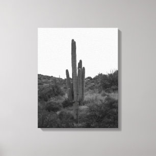 Impressão Em Tela Saguaro Cactus Preto e Branco 16x20