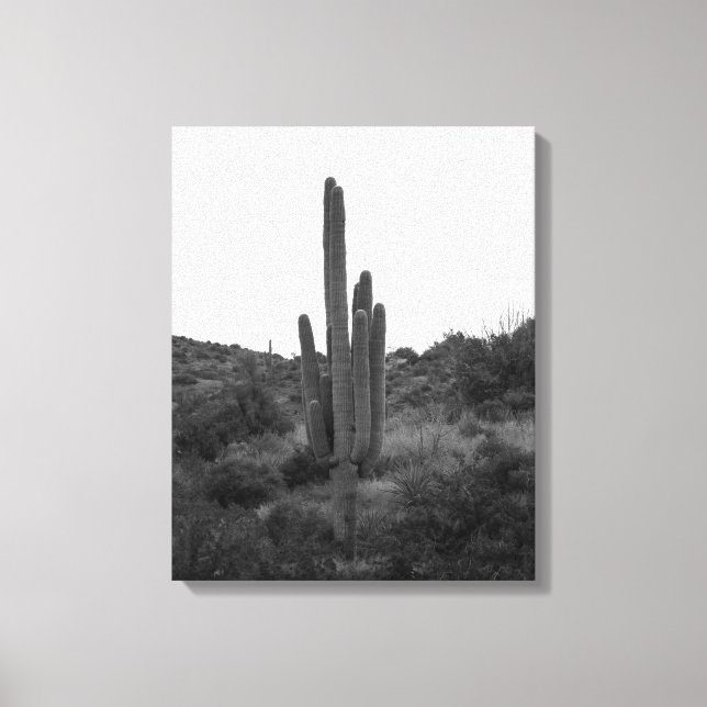 Impressão Em Tela Saguaro Cactus Preto e Branco 16x20 (Frente)