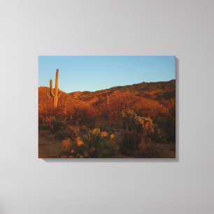 Impressão Em Tela Saguaro Sunset I Arizona Desert Landscape