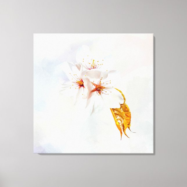 Impressão Em Tela Sakura - cereja japonesa floresce (Frente)