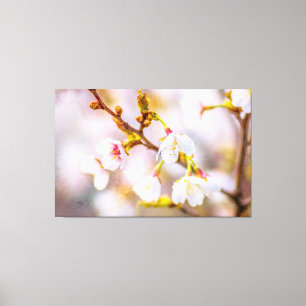 Impressão Em Tela Sakura - Flor de Cereja Japonês