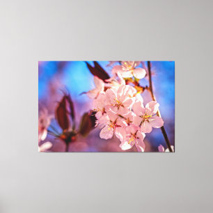 Impressão Em Tela Sakura No Sombreado Das Árvores