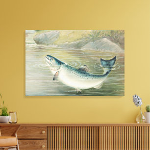 Impressão Em Tela Salmão da Califórnia por S.A. Kilbourne, Peixe Vin