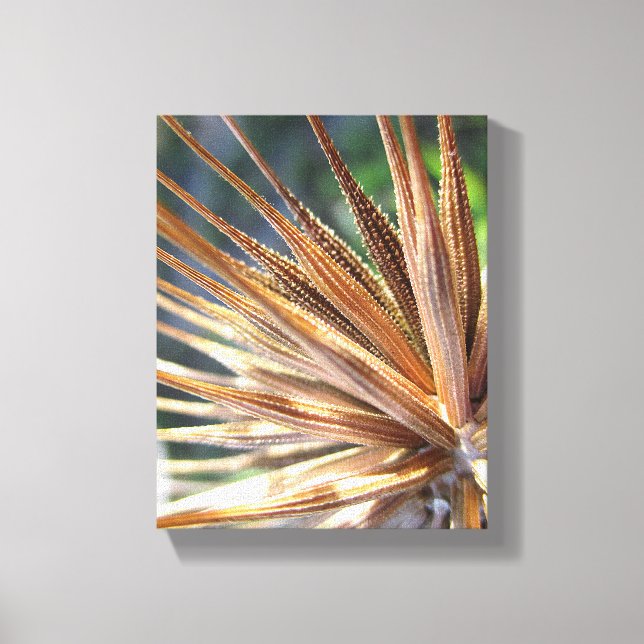 Impressão Em Tela Salsify Spiky Seed (Frente)