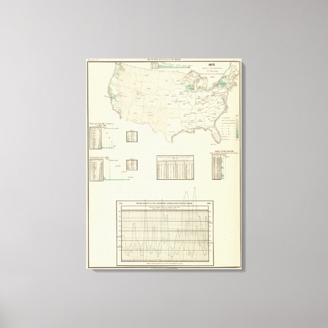 Impressão Em Tela Saltos (Frente)