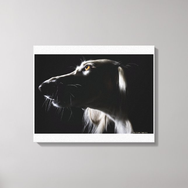 Impressão Em Tela Saluki, retrato (Frente)