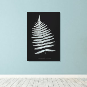 Impressão Em Tela Samambaia - Gymnogramma Villosa - efeito de Raio-X