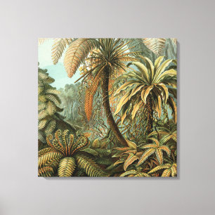Impressão Em Tela Samambaia Palmeira Antiga Arte Botânica de Samamba