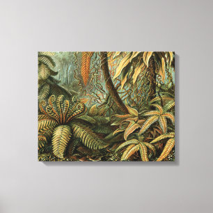 Impressão Em Tela Samambaia Palmeira Antiga Arte Botânica de Samamba