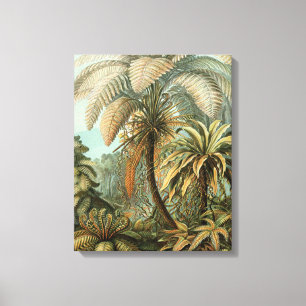 Impressão Em Tela Samambaia Palmeira Antiga Arte Botânica de Samamba