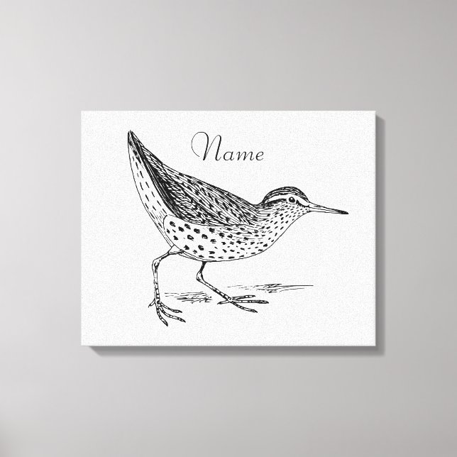 Impressão Em Tela Sandpiper Shorebird Thunder_Cove (Frente)