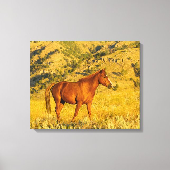 Impressão Em Tela Santuário de Cavalo Selvagem. (Frente)