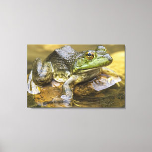 Impressão Em Tela Sapo ao longo do rio do búfalo, milha 126 no