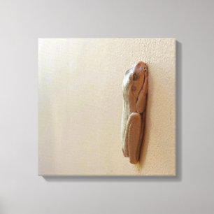 Impressão Em Tela Sapo de leite mole na tela estendida