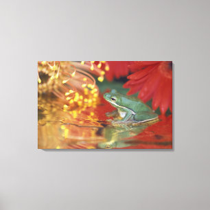 Impressão Em Tela Sapo e reflexões entre as flores. Crédito como: