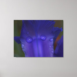 Impressão Em Tela Sapphire Serenity 