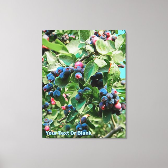 Impressão Em Tela Saskatoon (Frente)