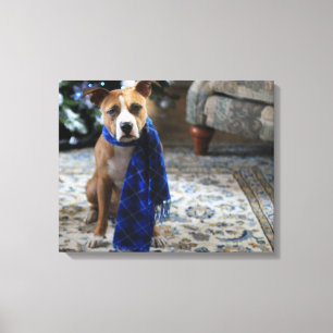 Impressão Em Tela Saúde Feriada do Cachorro de Salvamento do Touro d