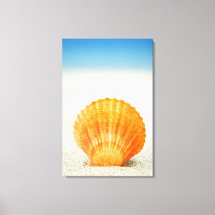 Impressão Em Tela Scallop Shell alaranjado que está ereto na areia