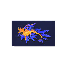 Seadrágono Dourado e Azul Ilustrado