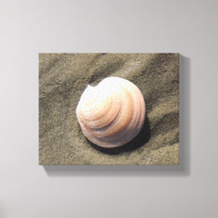 Impressão Em Tela Seashell na areia