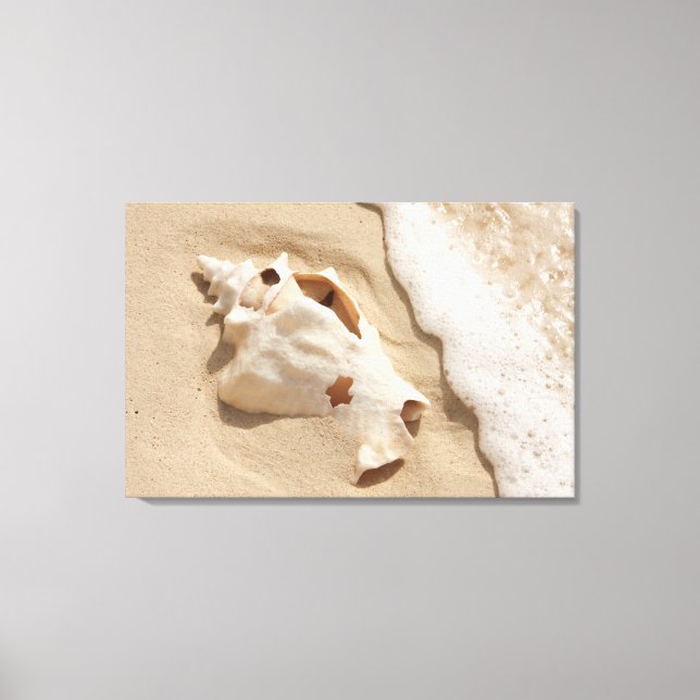 Impressão Em Tela Seashell Na Praia | Ilha Caribe Grande Turca (Frente)