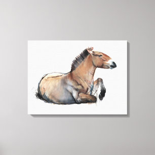 Impressão Em Tela Seated Przewalski 2011