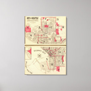 Impressão Em Tela Seattle