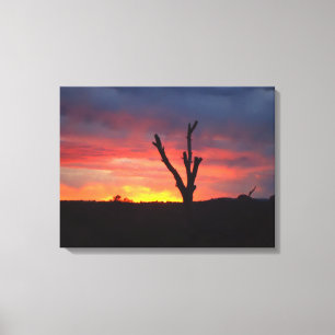 Impressão Em Tela Sedona Sunset