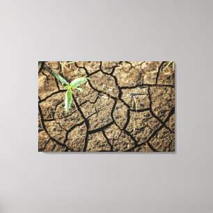 Impressão Em Tela Sementes Na Terra Quebrada