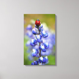 Impressão Em Tela Senhora Sortuda