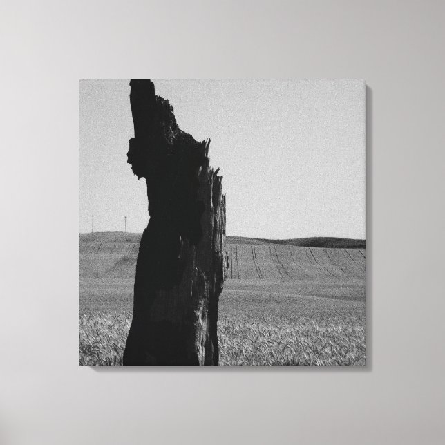 Impressão Em Tela Sentinal (Frente)